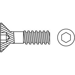 BRIGHTON-BEST 534052, FLAT HEAD SOC CAP- METRIC - M 5 X .8 X 12 534052