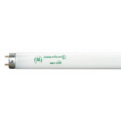 LAMP FLUORESCENT T8 68851