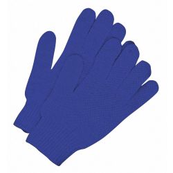 COLD PROTECTION GLOVS,LARGE,BL UE