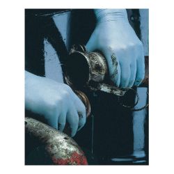 SHOWA 8005PF-L, GLOVE-NITRILE DISPOSABLE LARGE - N-DEX POWDER FREE 50/BOX 8005PF-L