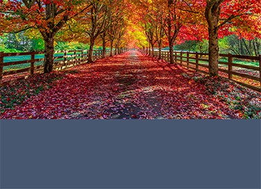 Fall Readiness